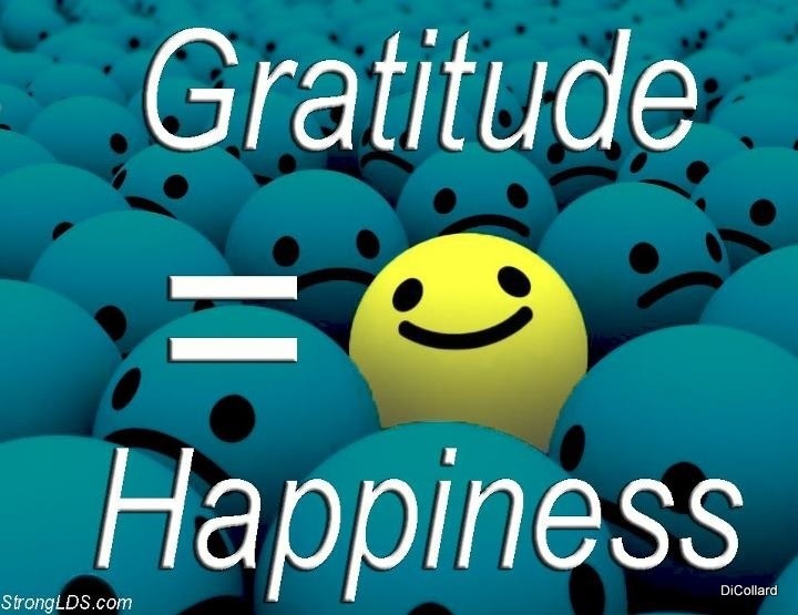 gratitude happiness