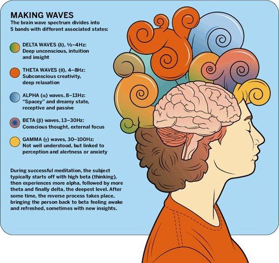 Brain Wave Spectrum